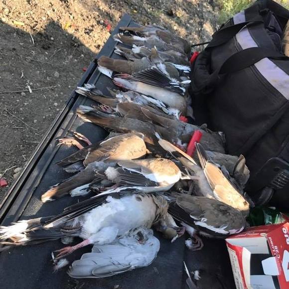 Meet your Posher, Corey - Picture 1 of 1